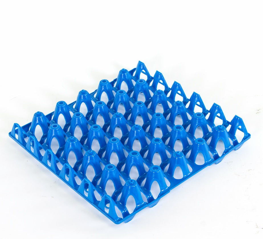 Æggebakke i plast til 30 æg - Blå