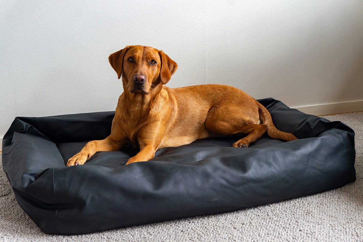 Hundekurv Sort - 80x100cm