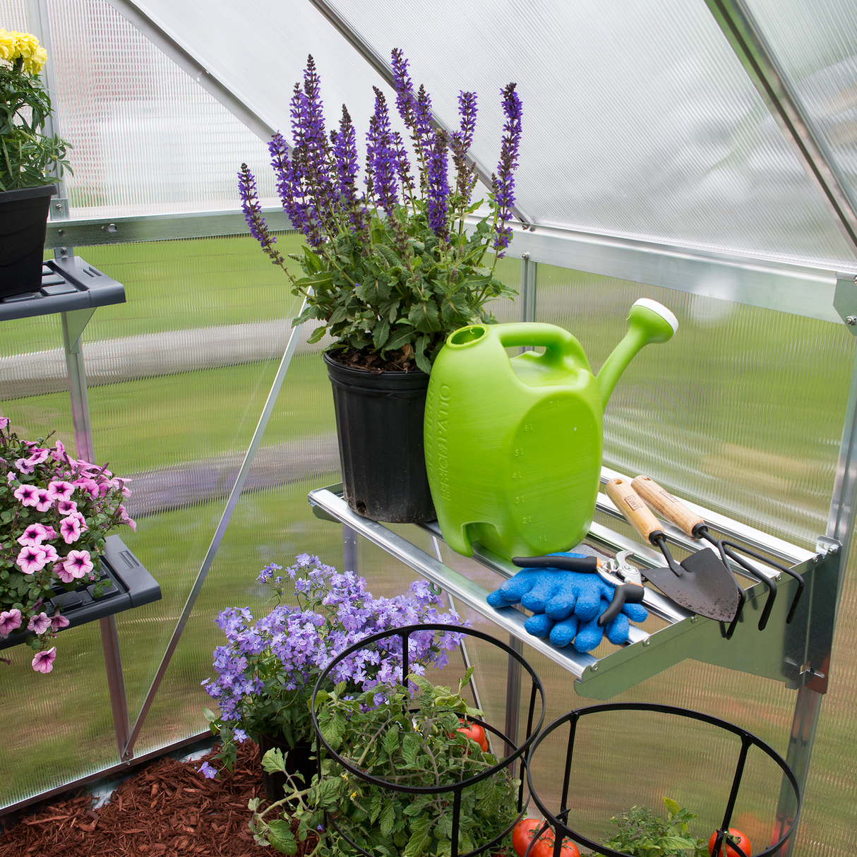 Kraftig hyldekit til drivhus Palram - Canopia