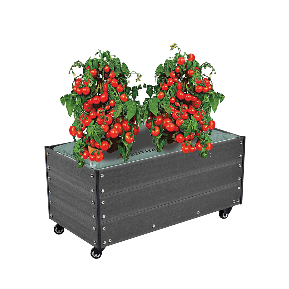 Kapilærskjuler inkl. hjul, WPC 36 x 50 x 90 cm