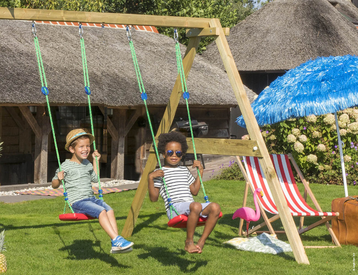 2-Swing Module 220 Jungle Gym