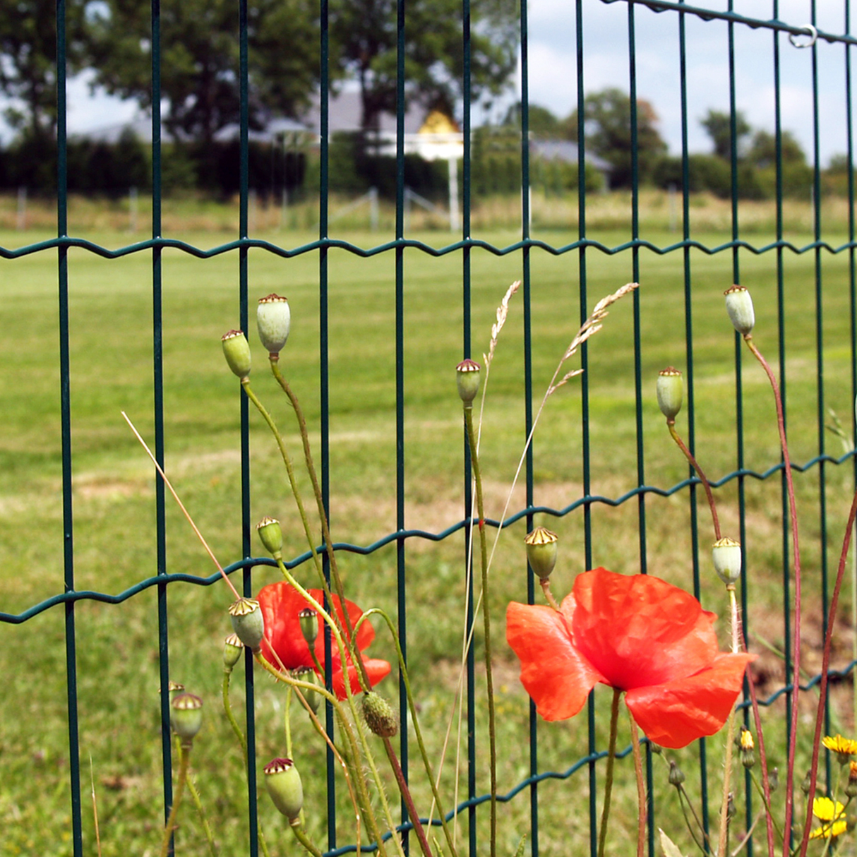 Havehegn - maske 10 x 10 cm - 60 cm x 25 meter, sort