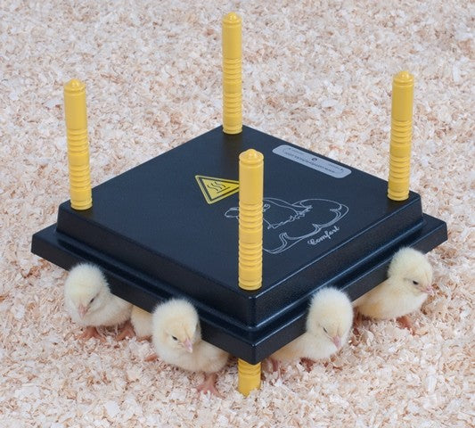 KUMO Kyllingemoder - 25x25 cm.