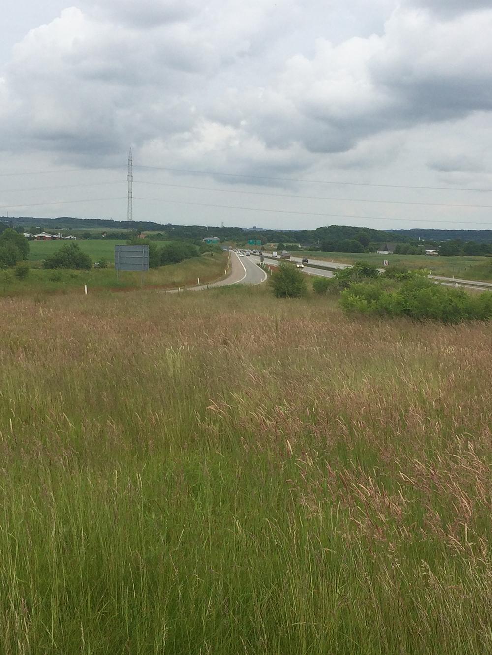 DLF Standard Vejrabat - 15 kg.