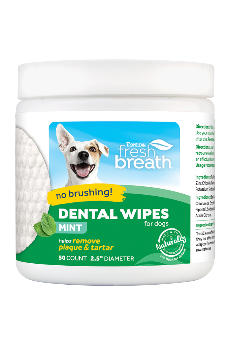 Dental wipes