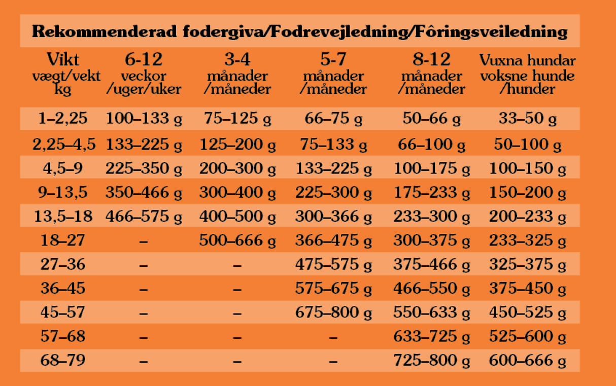 High Prairie Puppy, Bison