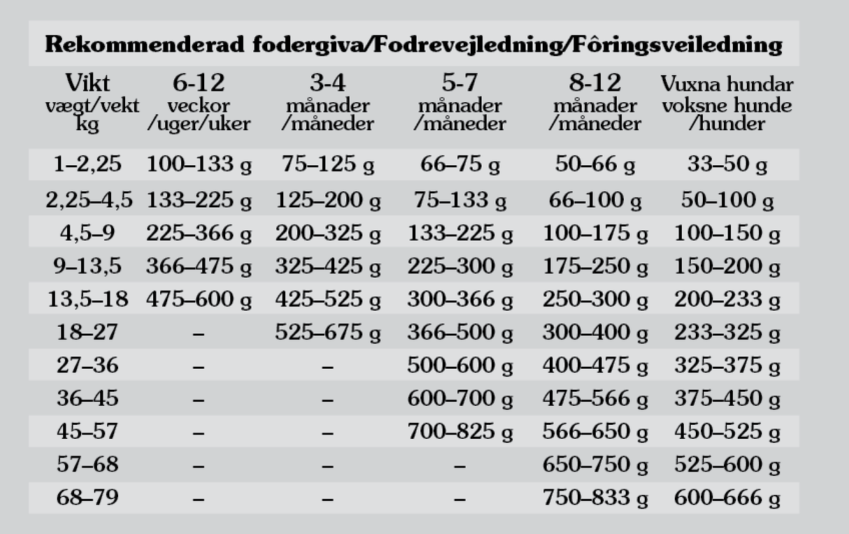 Pacific Stream Puppy, Salmon