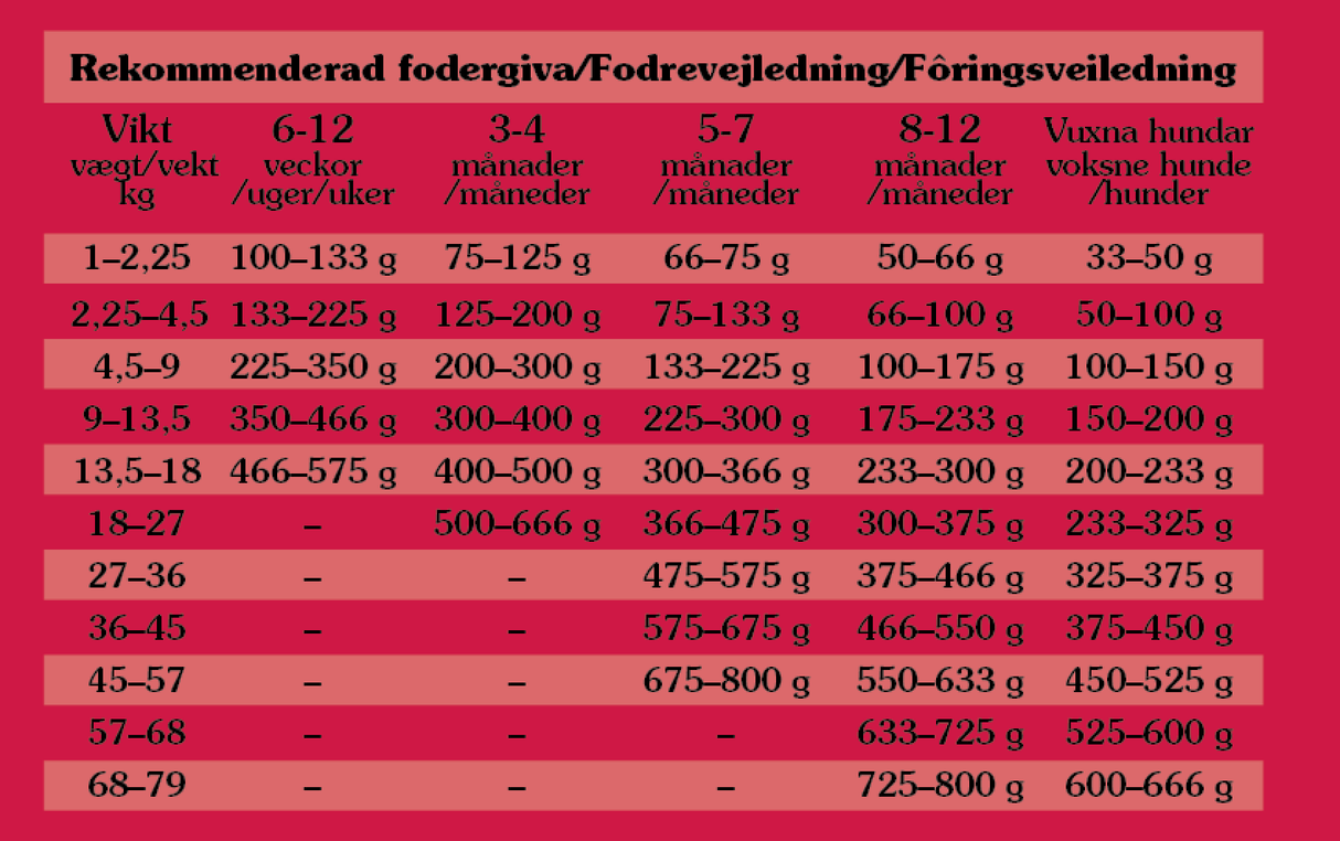 Southwest Canyon, Wild Boar