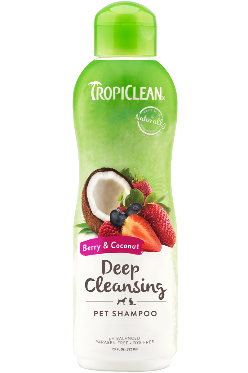 Berry & Coconut shampoo