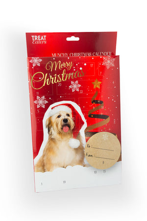 Christmas Calendar Mini Treats, Dog