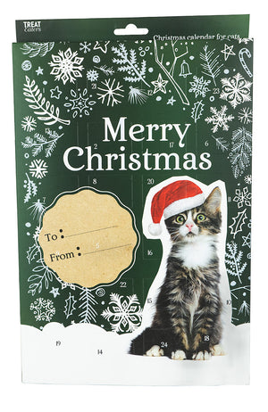 Christmas Calendar Cat