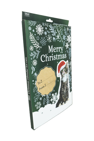 Christmas Calendar Cat