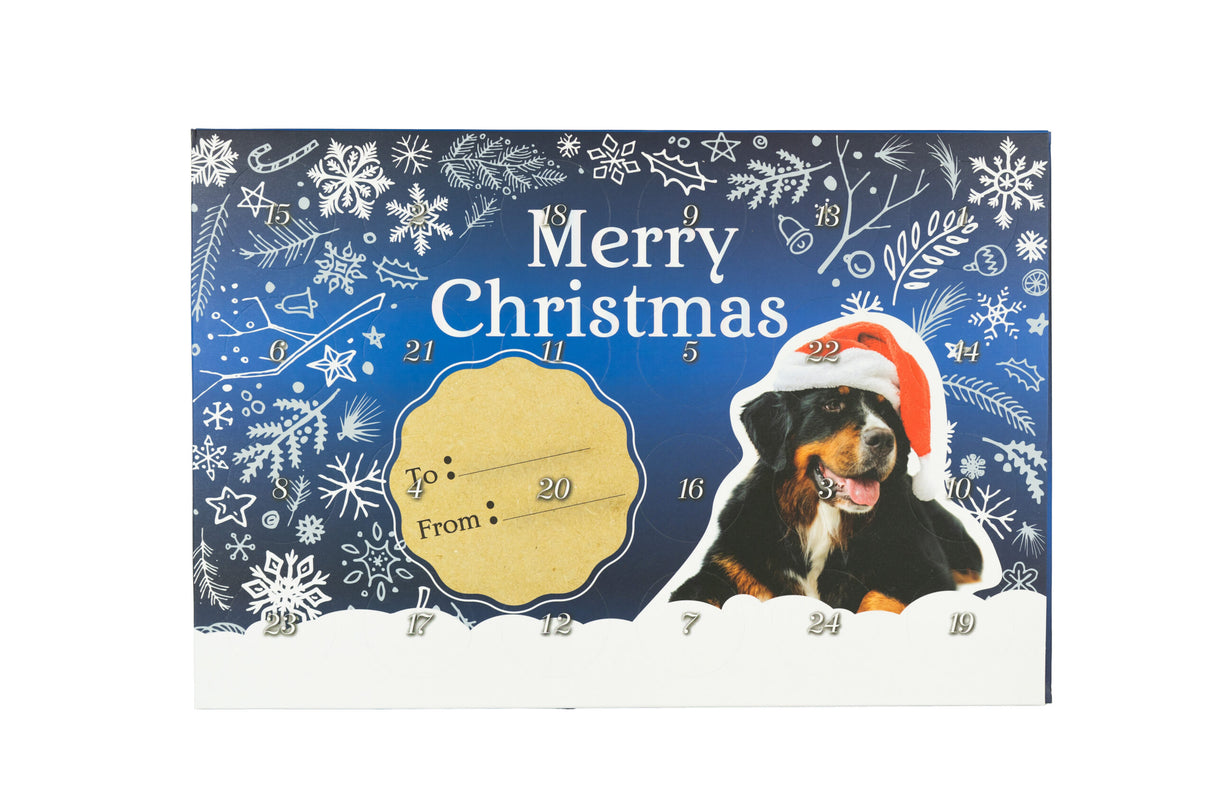 Christmas Calendar Mini Treats, Dog