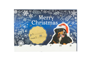 Christmas Calendar Mini Treats, Dog