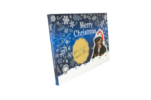 Christmas Calendar Mini Treats, Dog