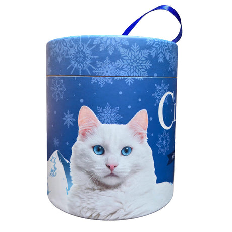 Clever Cat Pillows g