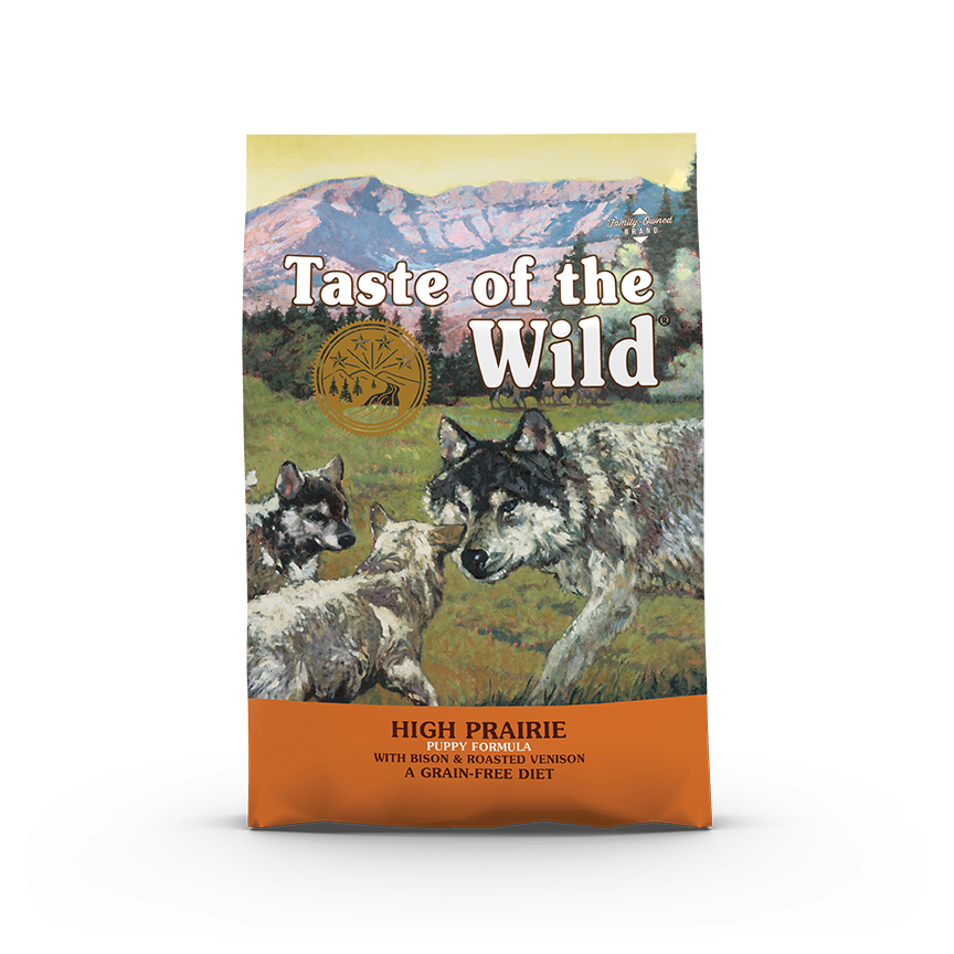 High Prairie Puppy, Bison