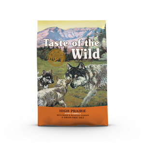 High Prairie Puppy, Bison