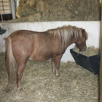Hø-Dispenser t/ Hjørne Pony 115ltr