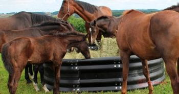 Foderring t/ Big-baller  270 x180 cm