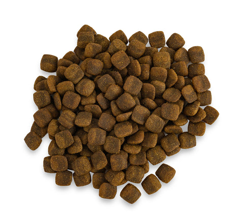 TE Crunchers Lamb 350g