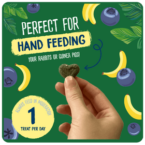 Excel Natures Snack Fruit Feasts g