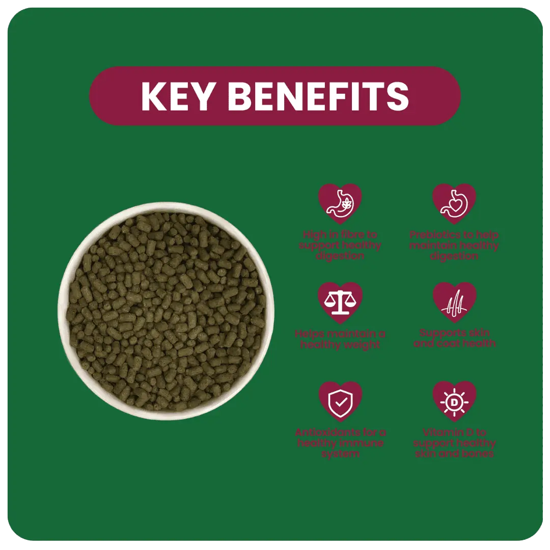 Excel Indoor Guinea Pig 1,5kg