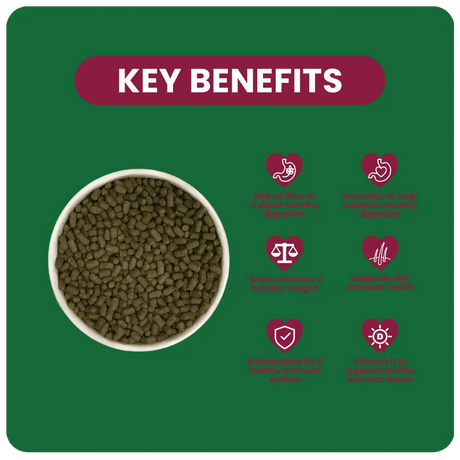 Excel Indoor Guinea Pig 1,5kg