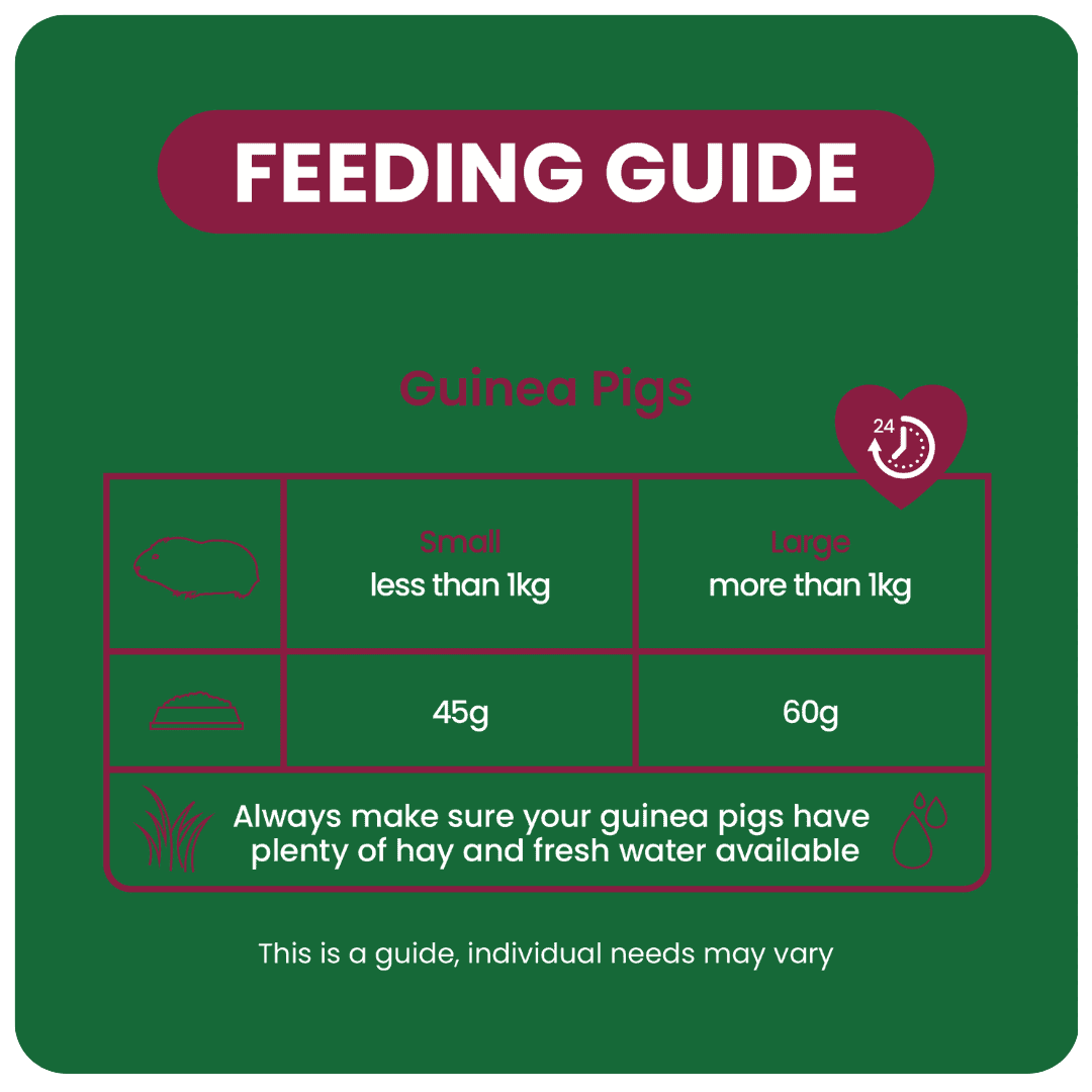 Excel Indoor Guinea Pig 1,5kg