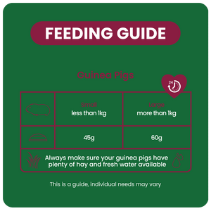 Excel Indoor Guinea Pig 1,5kg