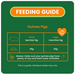 Excel Mature Guinea Pig Cranberry With Mint 1,5kg