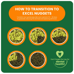 Excel Mature Guinea Pig Cranberry With Mint 1,5kg