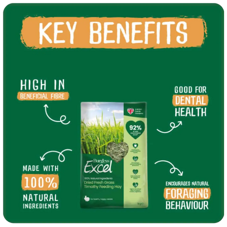 Excel Feeding Hay Dried Fresh Grass 1kg