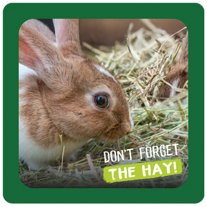 Excel Long Stem Feeding Hay 1kg