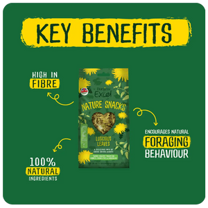 Excel Luscious Leaves 60g