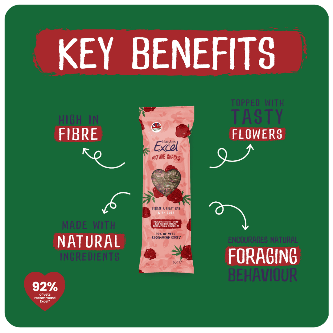 Excel Forage & Feast Bar Rose 60g