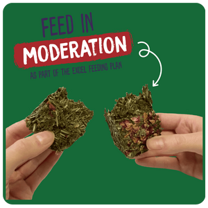 Excel Forage & Feast Bar Rose 60g