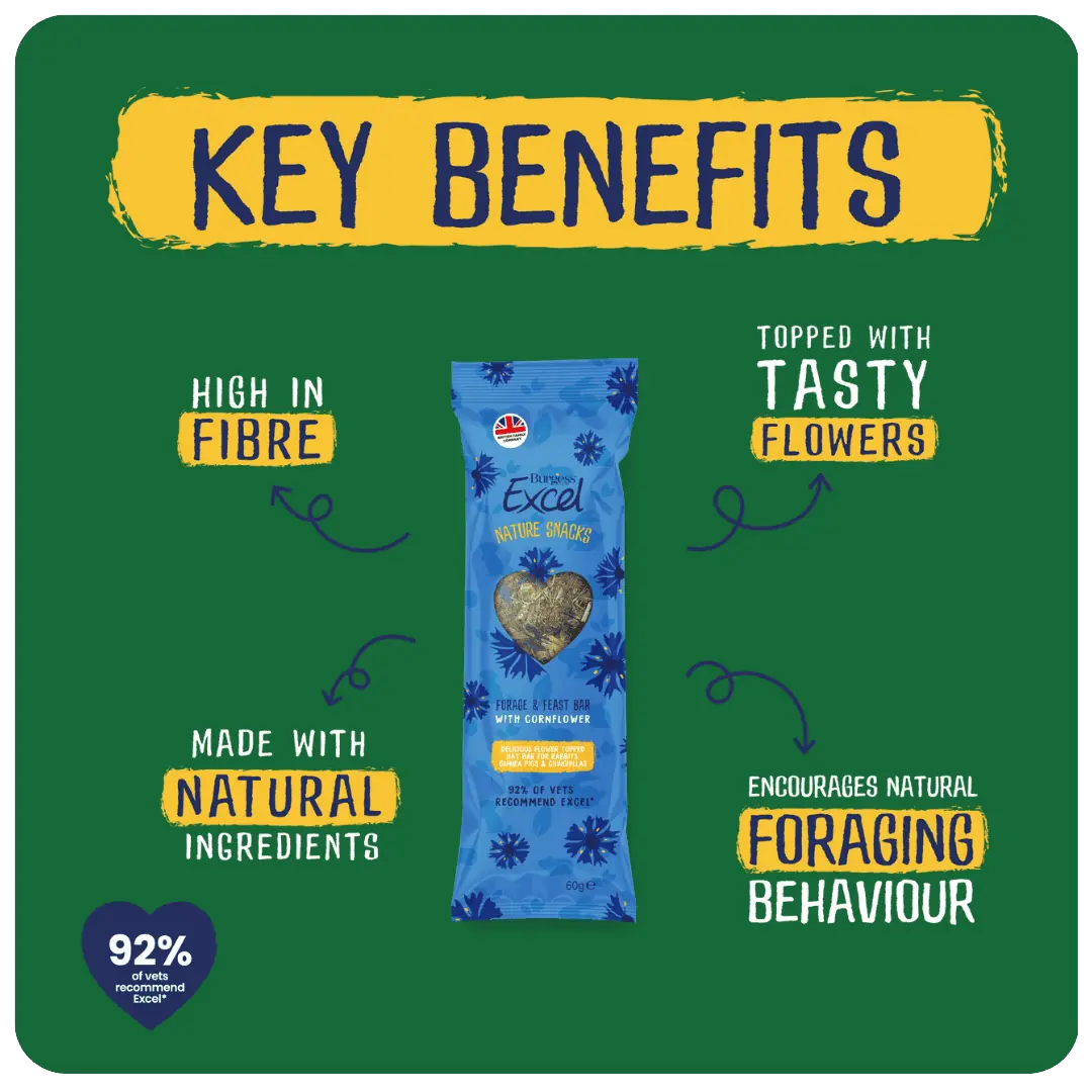 Excel Forage & Feast Bar Cornflwr 60g