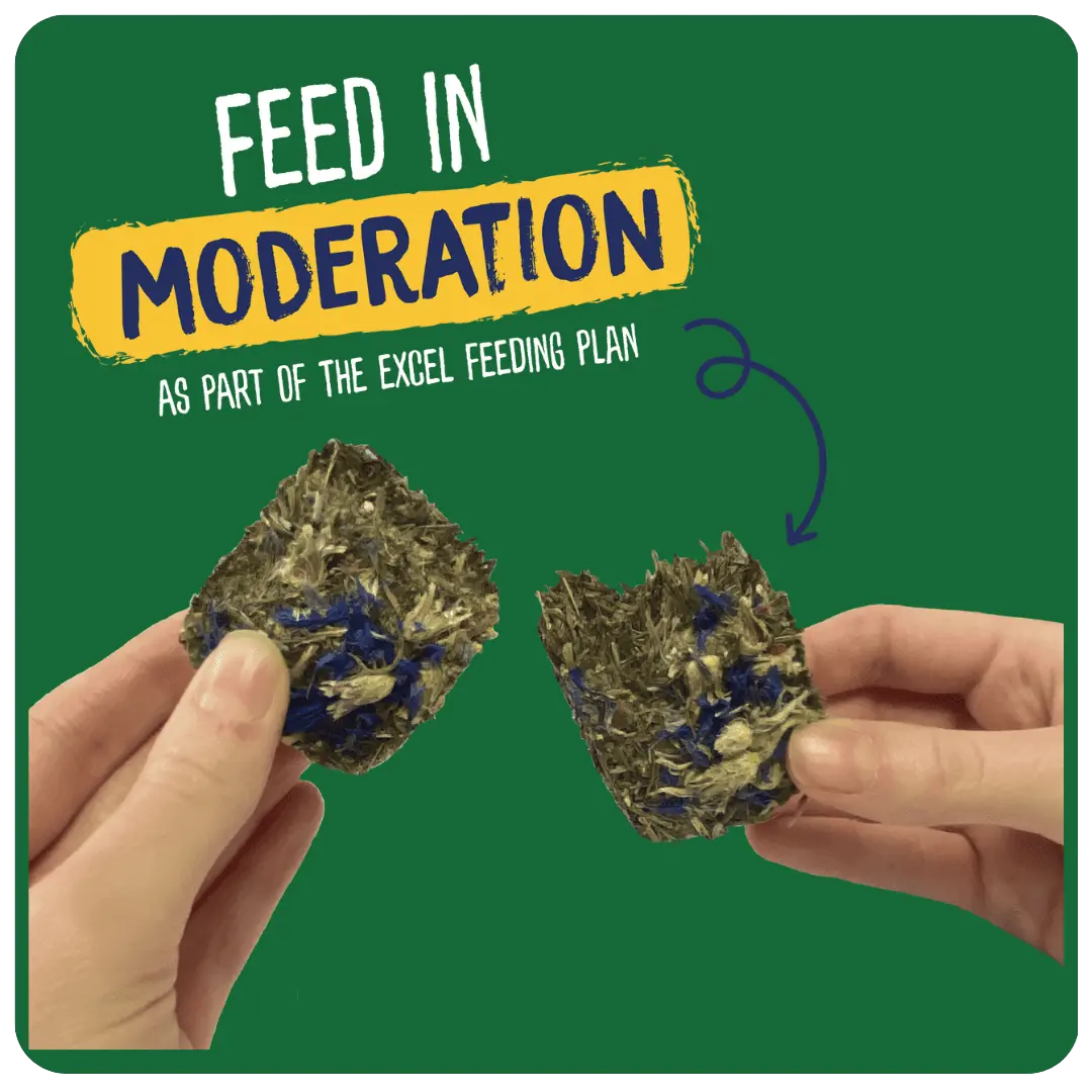 Excel Forage & Feast Bar Cornflwr 60g