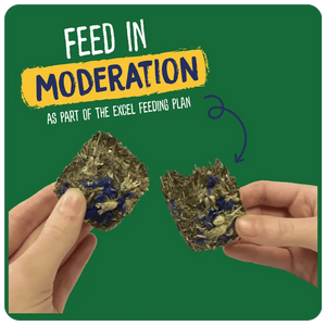 Excel Forage & Feast Bar Cornflwr 60g