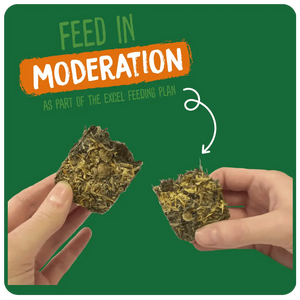 Excel Forage & Feast Bar Marigold 60g