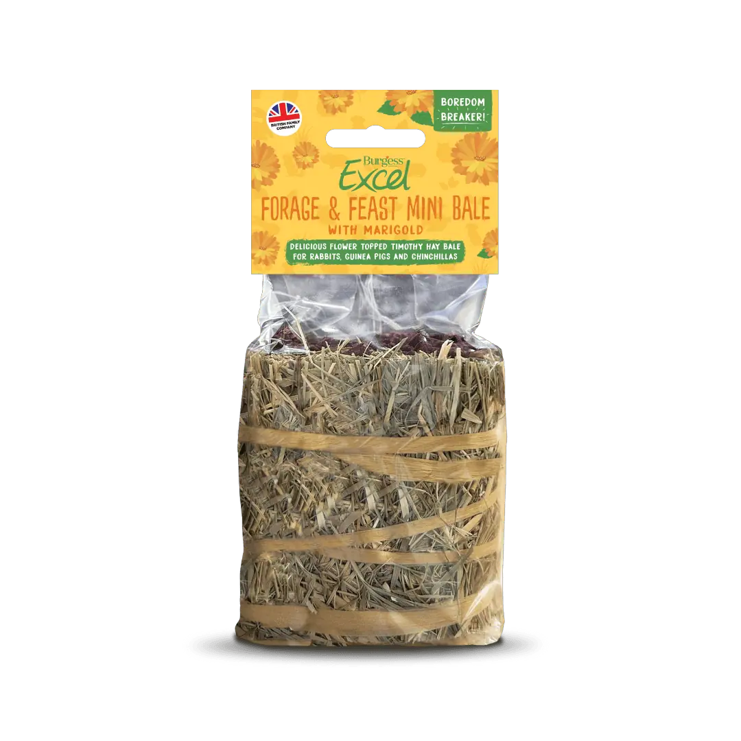 Forg & Feast Mini Bale hø - Marigold 100g
