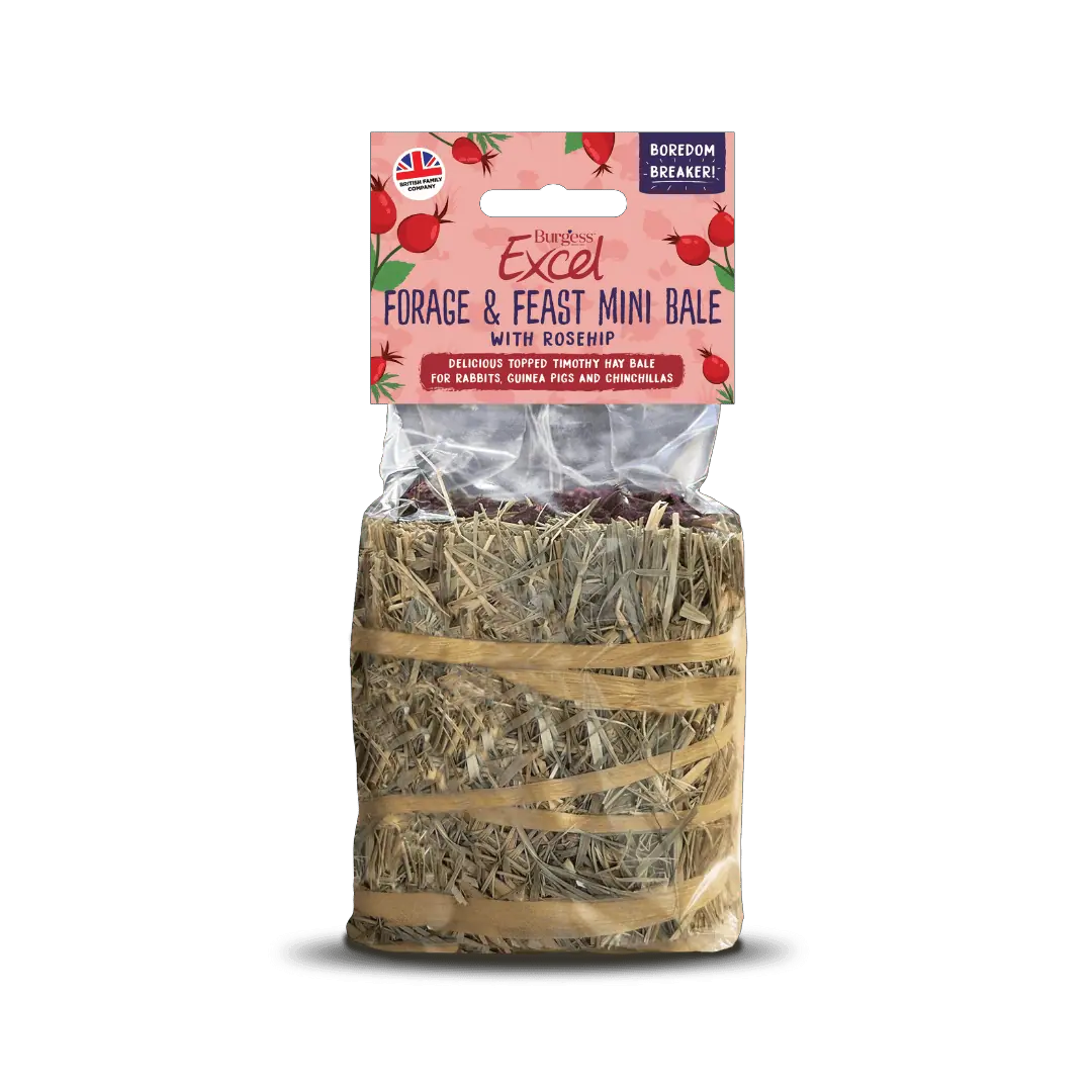 Forg & Feast Mini Bale hø - Rose 100g