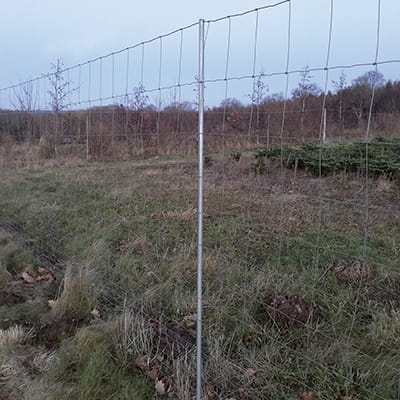 Hegnspæl Galv. Vandrør 200 cm