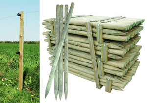 Hegnspæl Klasse A - 6 x 150 cm 241 stk