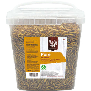 Hobby First Pure Mealworms (melorme), 1 kg