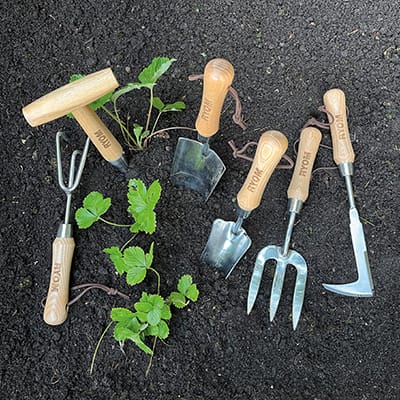 Lugekniv rustfri med asketræsskaft - detalje