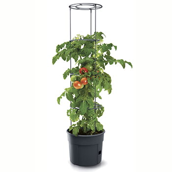 Tomatpotte - 12 liter