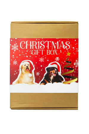 X-mas Gift Box