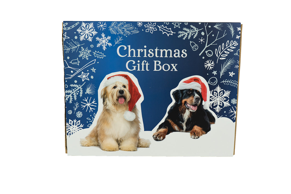 X-mas Gift Box